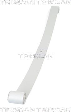 Triscan 8765 10008 - Pachet arc cu foi aaoparts.ro
