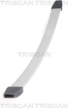 Triscan 8765 10003 - Pachet arc cu foi aaoparts.ro