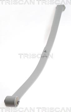 Triscan 8765 29019 - Pachet arc cu foi aaoparts.ro