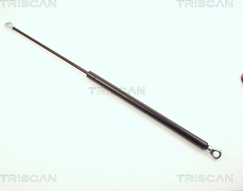 Triscan 8710 1601 - Amortizor portbagaj aaoparts.ro