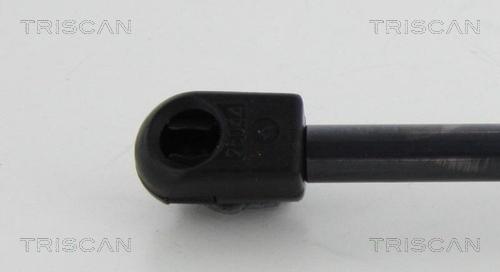 Triscan 8710 10213 - Amortizor portbagaj aaoparts.ro