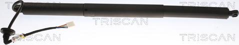 Triscan 8710 81205 - Amortizor portbagaj aaoparts.ro
