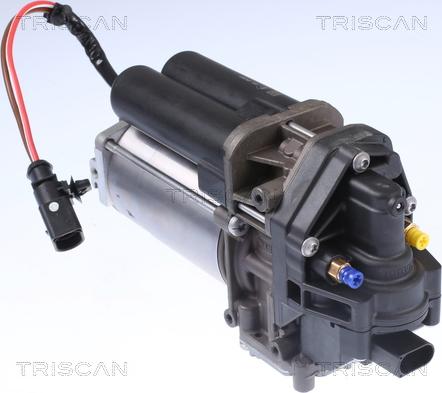 Triscan 8725 81101 - Compresor, instalatie aer comprimat aaoparts.ro