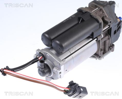 Triscan 8725 81101 - Compresor, instalatie aer comprimat aaoparts.ro