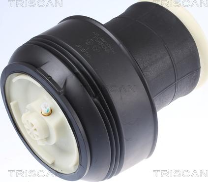 Triscan 8720 11203 - Arc pneumatic, directie aaoparts.ro