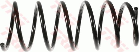 TRW JCS631 - Arc spiral aaoparts.ro