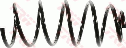 TRW JCS119 - Arc spiral aaoparts.ro