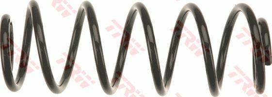 TRW JCS1313 - Arc spiral aaoparts.ro