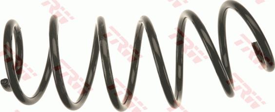 TRW JCS1317 - Arc spiral aaoparts.ro