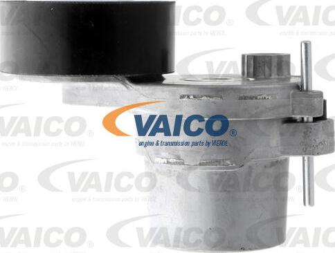VAICO V46-4120 - Intinzator curea, curea distributie aaoparts.ro