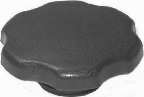 VAICO V40-0487 - Capac inchidere, rezervorde compensare servodirectie aaoparts.ro