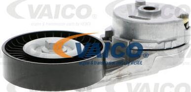 VAICO V40-0666 - Rola ghidare / conducere, curea transmisie aaoparts.ro