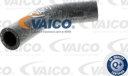 VAICO V40-0367 - Furtun radiator aaoparts.ro