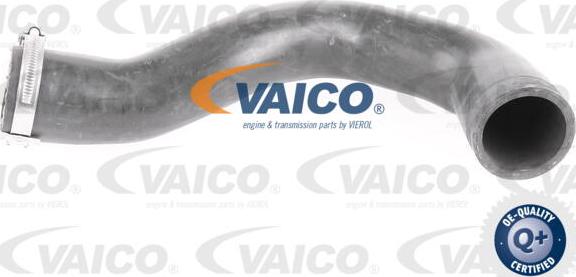 VAICO V40-1509 - Furtun aer supraalimentare aaoparts.ro