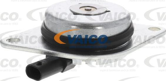 VAICO V40-10004 - Chit lant de distributie aaoparts.ro