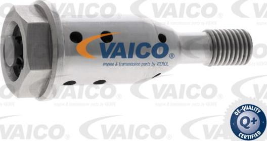 VAICO V40-10004 - Chit lant de distributie aaoparts.ro