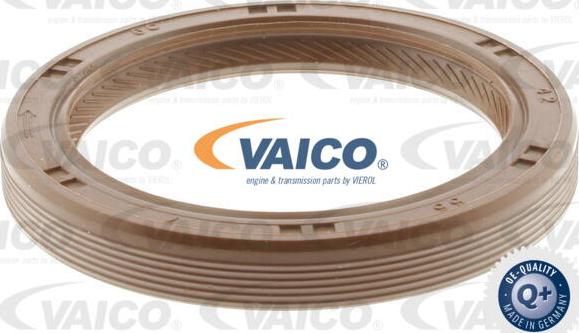 VAICO V40-10004 - Chit lant de distributie aaoparts.ro