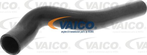 VAICO V40-1170 - Furtun radiator aaoparts.ro