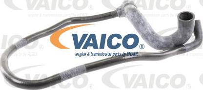 VAICO V40-1762 - Furtun radiator aaoparts.ro