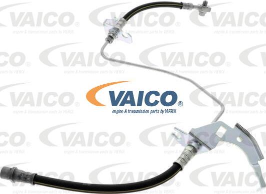 VAICO V40-1711 - Furtun frana aaoparts.ro