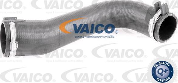 VAICO V42-0584 - Furtun aer supraalimentare aaoparts.ro