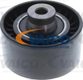 VAICO V42-0195 - Rola ghidare / conducere, curea distributie aaoparts.ro