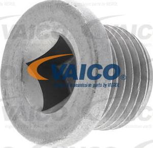 VAICO V42-0838 - Surub de golire,baia de ulei aaoparts.ro