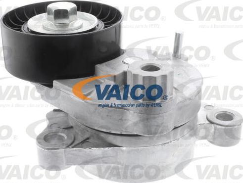 VAICO V42-7148 - Intinzator curea, curea distributie aaoparts.ro