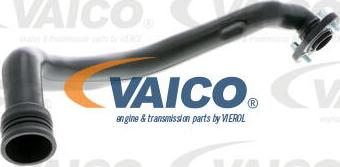 VAICO V10-9766 - Furtun, aerisire chiulasa aaoparts.ro