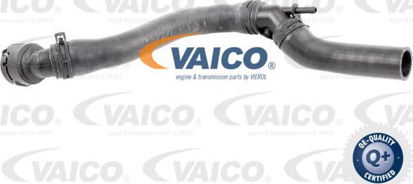 VAICO V10-4657 - Furtun radiator aaoparts.ro
