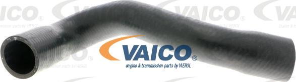 VAICO V10-4815 - Furtun radiator aaoparts.ro