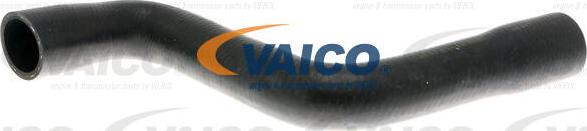 VAICO V10-4813 - Furtun radiator aaoparts.ro