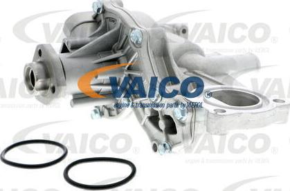 VAICO V10-50013 - Pompa apa aaoparts.ro