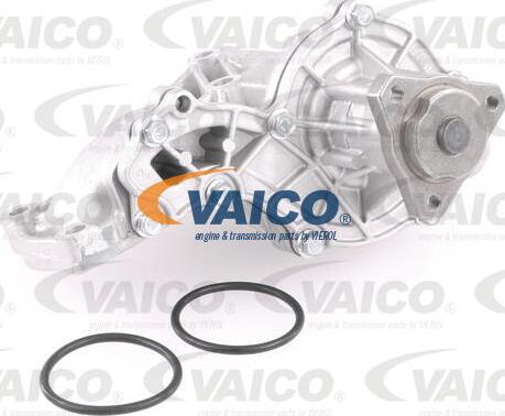 VAICO V10-50039 - Pompa apa aaoparts.ro
