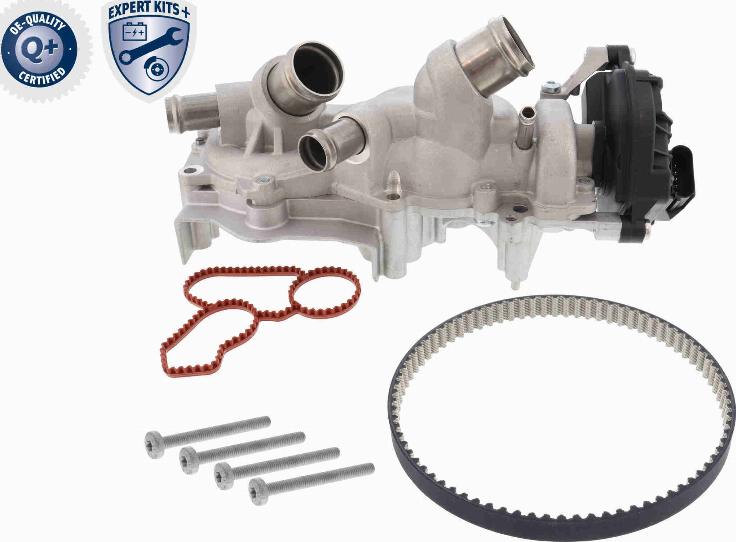 VAICO V10-50114 - Set pompa apa + curea dintata aaoparts.ro