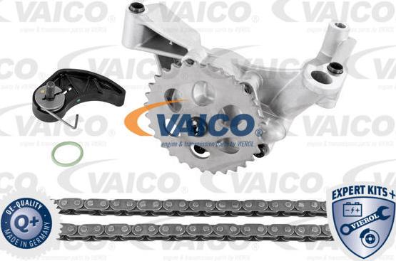 VAICO V10-5833 - Set lant, antrenare pompa ulei aaoparts.ro