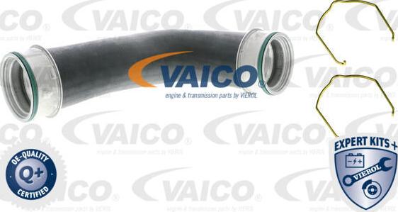 VAICO V10-5309 - Furtun aer supraalimentare aaoparts.ro