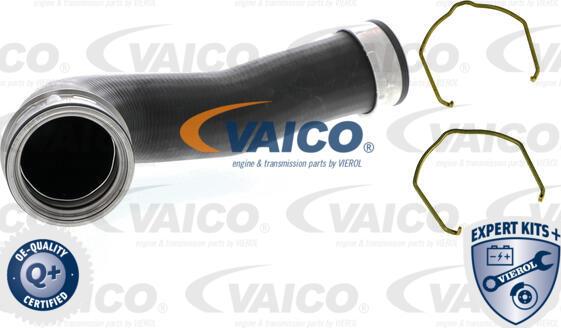 VAICO V10-5302 - Furtun aer supraalimentare aaoparts.ro