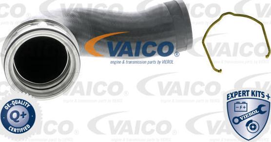 VAICO V10-5315 - Furtun aer supraalimentare aaoparts.ro