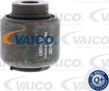 VAICO V10-6067 - Lagar, fixare ax aaoparts.ro