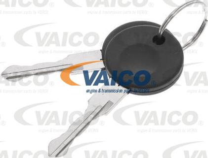 VAICO V10-6144 - Maner usa aaoparts.ro