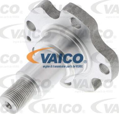 VAICO V10-6329 - Butuc roata, corp axa aaoparts.ro