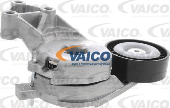 VAICO V10-0553 - Intinzator curea, curea distributie aaoparts.ro