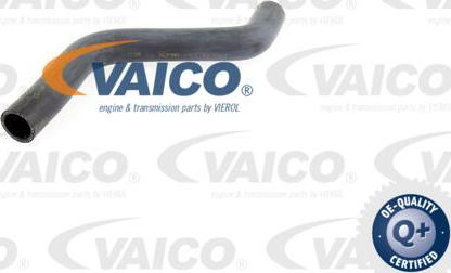 VAICO V10-0060 - Furtun radiator aaoparts.ro