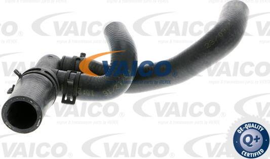 VAICO V10-0395 - Furtun radiator aaoparts.ro