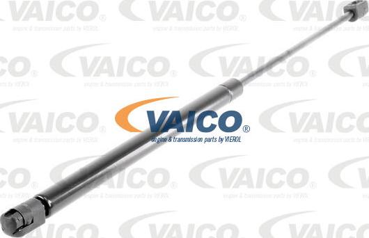 VAICO V10-0240 - Amortizor portbagaj aaoparts.ro