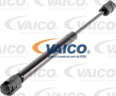 VAICO V10-1987 - Amortizor capota aaoparts.ro