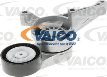 VAICO V10-1695 - Rola ghidare / conducere, curea transmisie aaoparts.ro