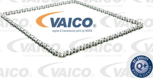 VAICO V40-10004 - Chit lant de distributie aaoparts.ro