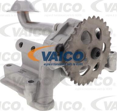 VAICO V10-3724 - Pompa ulei aaoparts.ro